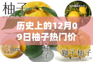 揭秘柚子歷史價格，柚子價格查詢全攻略（適合初學者與進階用戶）