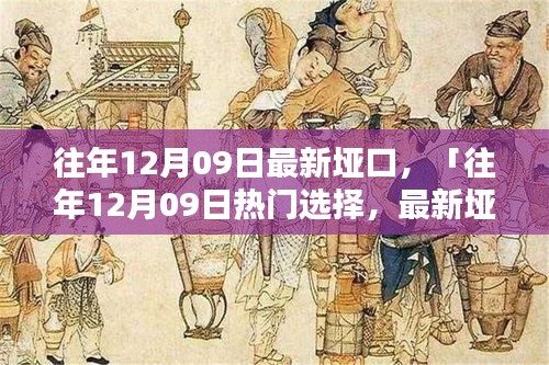 往年12月09日最新埡口產(chǎn)品評(píng)測(cè)與介紹，熱門選擇詳解