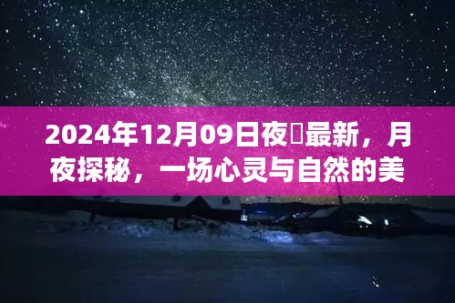 月夜探秘，心靈與自然的邂逅——記2024年12月09日夜廻之旅