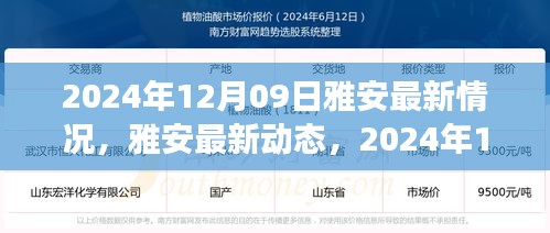 雅安最新動態(tài)深度觀察，2024年12月09日最新情況報告