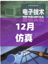 仿真之路，實時啟航，迎接自信與成就感的魔法時刻——十二月仿真需求解析