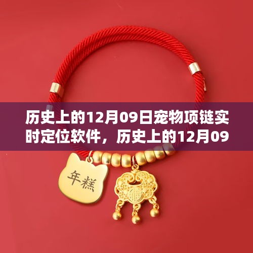 歷史上的12月09日，寵物項(xiàng)鏈實(shí)時(shí)定位軟件深度評(píng)測與介紹