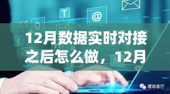 12月數(shù)據(jù)實(shí)時(shí)對(duì)接后的策略指南，多方考量與行動(dòng)步驟