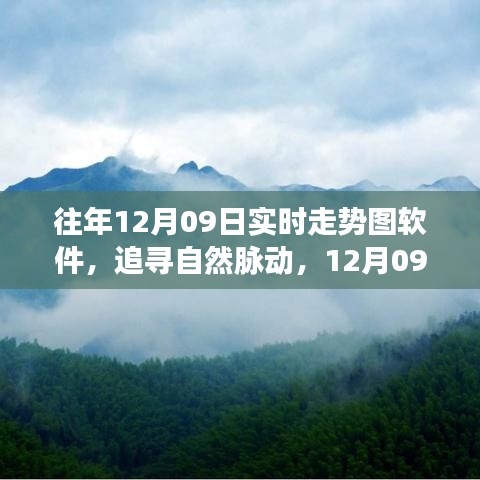 追尋自然脈動，12月09日走勢圖背后的心靈之旅與實時走勢圖軟件解析