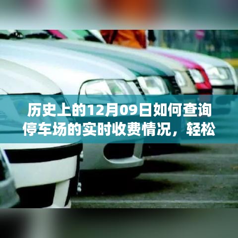 如何查詢停車場(chǎng)實(shí)時(shí)收費(fèi)情況？詳細(xì)步驟指南（歷史上的12月09日版）