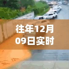 關(guān)于雨量的探秘之旅，雨中溫情與實時數(shù)據(jù)監(jiān)測的奇妙故事（往年12月09日）