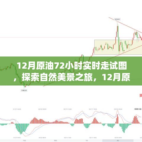 揭秘原油走勢圖背后的故事，探尋自然美景之旅的實時追蹤報告