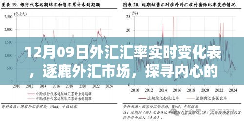 揭秘外匯市場風云變幻，探尋匯率背后的故事——12月09日外匯匯率實時變化表解析