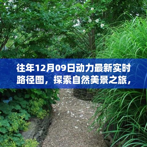 往年12月09日動力路徑圖，自然美景探索之旅的寧靜與和諧體驗