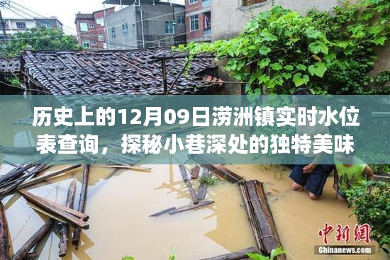 探秘澇洲鎮(zhèn)，歷史水位變遷中的小巷美食記憶——實時水位表查詢與獨特美味探秘