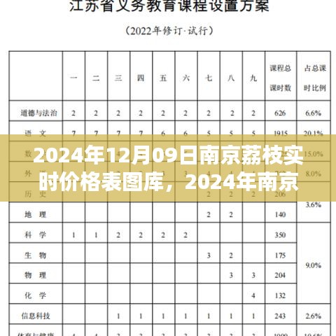 2024年南京荔枝實(shí)時價格表圖庫制作指南，從初學(xué)者到進(jìn)階用戶全攻略