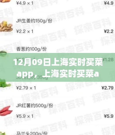 上海實(shí)時(shí)買菜app使用指南，從初學(xué)者到進(jìn)階用戶的全方位指南（12月09日版）