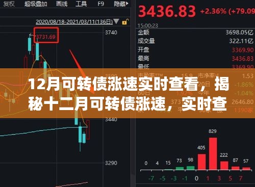 揭秘十二月可轉(zhuǎn)債漲速，實(shí)時(shí)查看與深度解讀報(bào)告