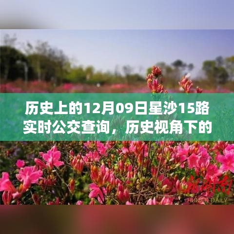 歷史視角下的星沙公交發(fā)展，星沙公交查詢系統(tǒng)深度探討與實(shí)時(shí)公交查詢服務(wù)解析（附，歷史上的星沙公交變遷）