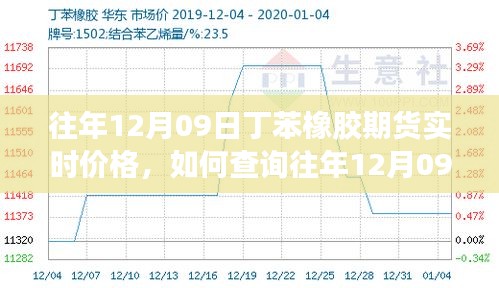 如何查詢往年12月09日丁苯橡膠期貨實(shí)時(shí)價(jià)格，詳細(xì)步驟及最新價(jià)格信息指南