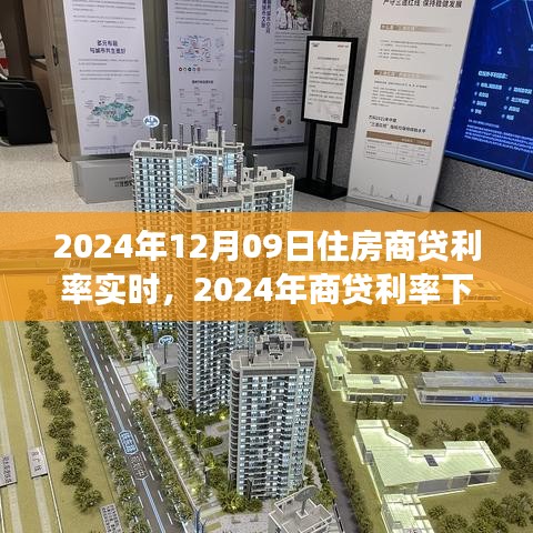 商貸利率下的心靈之旅，與自然美景的不解之緣（2024年實(shí)時(shí)報(bào)道）