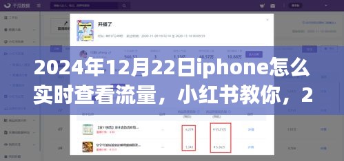 2024年12月22日iPhone實(shí)時(shí)查看流量教程，小紅書教你如何輕松監(jiān)控流量消耗