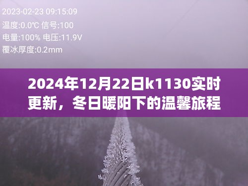 冬日暖陽下的溫馨旅程，K1130列車2024年12月22日實時更新行程揭秘