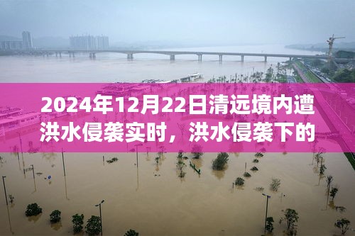 洪水侵襲下的清遠(yuǎn)秘境，美食奇遇與實(shí)時(shí)報(bào)道