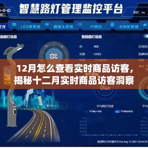 揭秘十二月實時商品訪客洞察，洞悉訪客動態(tài)與商業(yè)進展的秘訣