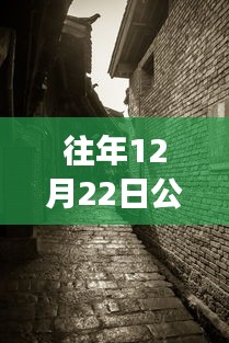 探秘寶藏店，公路云實(shí)時(shí)監(jiān)控軟件下載新體驗(yàn)，12月22日實(shí)時(shí)下載探秘小巷深處之旅