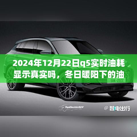 冬日暖陽下的真相探尋，2024年Q5實時油耗顯示的可信度與友情之旅