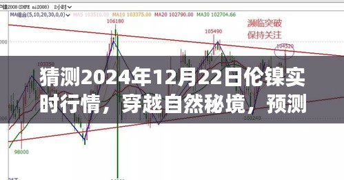 倫鎳行情預(yù)測(cè)與心靈之旅，穿越自然秘境，探索2024年倫鎳實(shí)時(shí)行情的奇妙交織