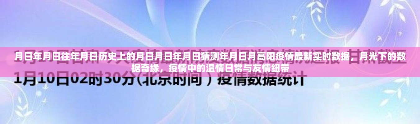 月高陽疫情最新實(shí)時(shí)數(shù)據(jù)與月光下的數(shù)據(jù)奇緣，歷史視角下的溫情日常與友情紐帶