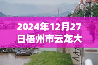 梧州市云龍大橋實時水位監(jiān)測指南，以初學者和進階用戶視角看水位監(jiān)測