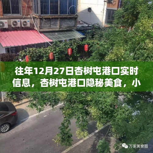 杏樹屯港口，美食秘境與實(shí)時(shí)信息的探索之旅