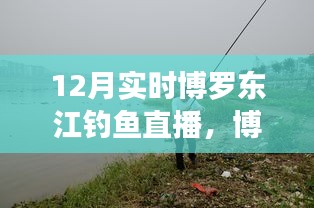 博羅東江畔的釣魚盛宴，12月實時釣魚直播開啟！