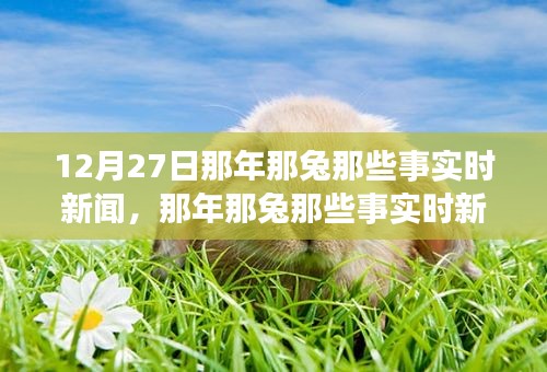 那年那兔時(shí)事新聞追蹤解讀指南，從初學(xué)者到進(jìn)階用戶的步驟指南