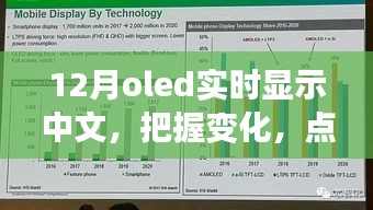 12月OLED中文實(shí)時(shí)顯示，把握變化，點(diǎn)亮未來——展現(xiàn)你的中文魅力