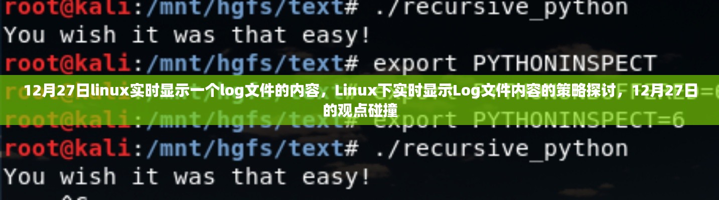 Linux下實時顯示Log文件內(nèi)容的策略探討，觀點碰撞與實時更新技術(shù)