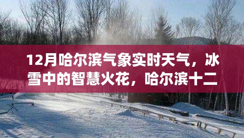 哈爾濱十二月冰雪智慧，氣象實(shí)時(shí)觀察與啟示錄