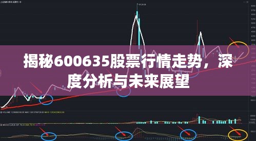 揭秘600635股票行情走勢，深度分析與未來展望