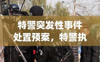 特警突發(fā)性事件處置預(yù)案，特警執(zhí)勤突發(fā)事件視頻 