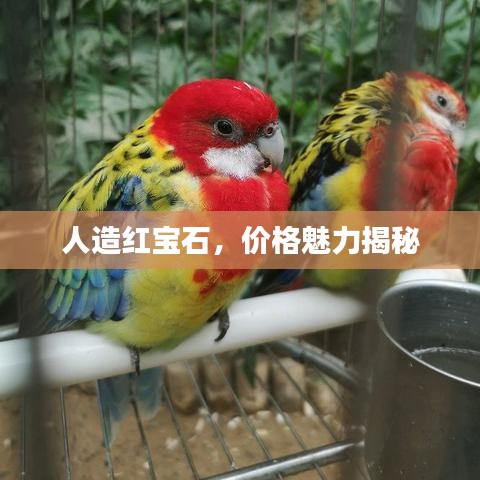 人造紅寶石，價格魅力揭秘