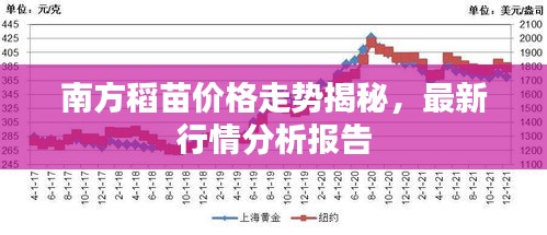 南方稻苗價(jià)格走勢(shì)揭秘，最新行情分析報(bào)告