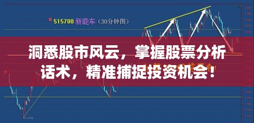 洞悉股市風云，掌握股票分析話術(shù)，精準捕捉投資機會！