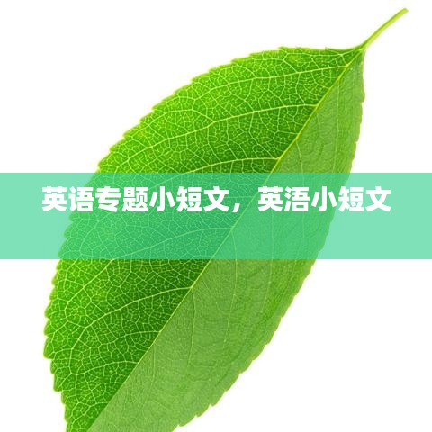 英語專題小短文，英浯小短文 