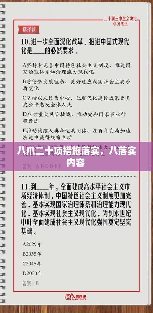 八爪二十項措施落實，八落實內容 