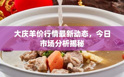 大慶羊價(jià)行情最新動(dòng)態(tài)，今日市場(chǎng)分析揭秘