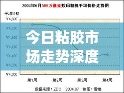 今日粘膠市場走勢深度解析，最新行情報告