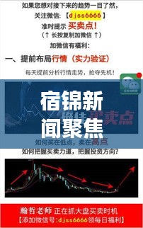 宿錦新聞聚焦時事熱點，解讀地方發(fā)展新動態(tài)