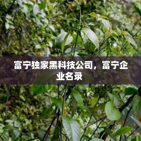 富寧獨(dú)家黑科技公司，富寧企業(yè)名錄 