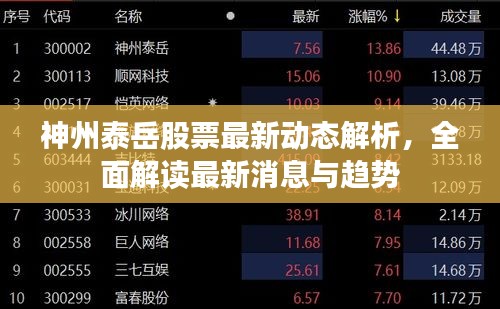 神州泰岳股票最新動(dòng)態(tài)解析，全面解讀最新消息與趨勢(shì)