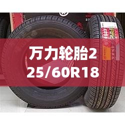 萬(wàn)力輪胎225/60R18型號(hào)價(jià)格深度解析