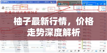 柚子最新行情，價格走勢深度解析