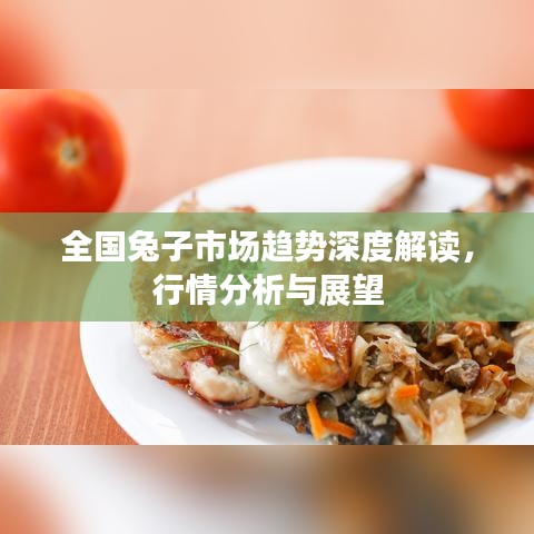 全國(guó)兔子市場(chǎng)趨勢(shì)深度解讀，行情分析與展望